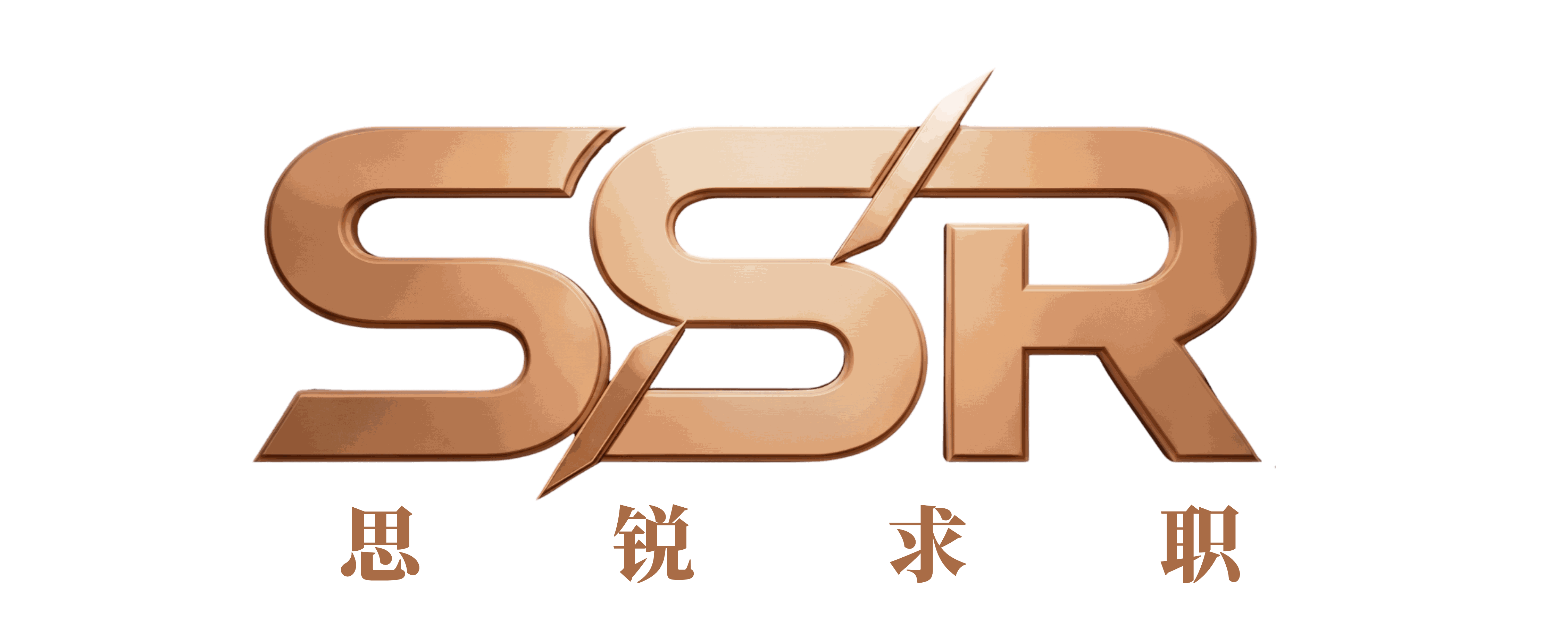 SSR 思锐求职